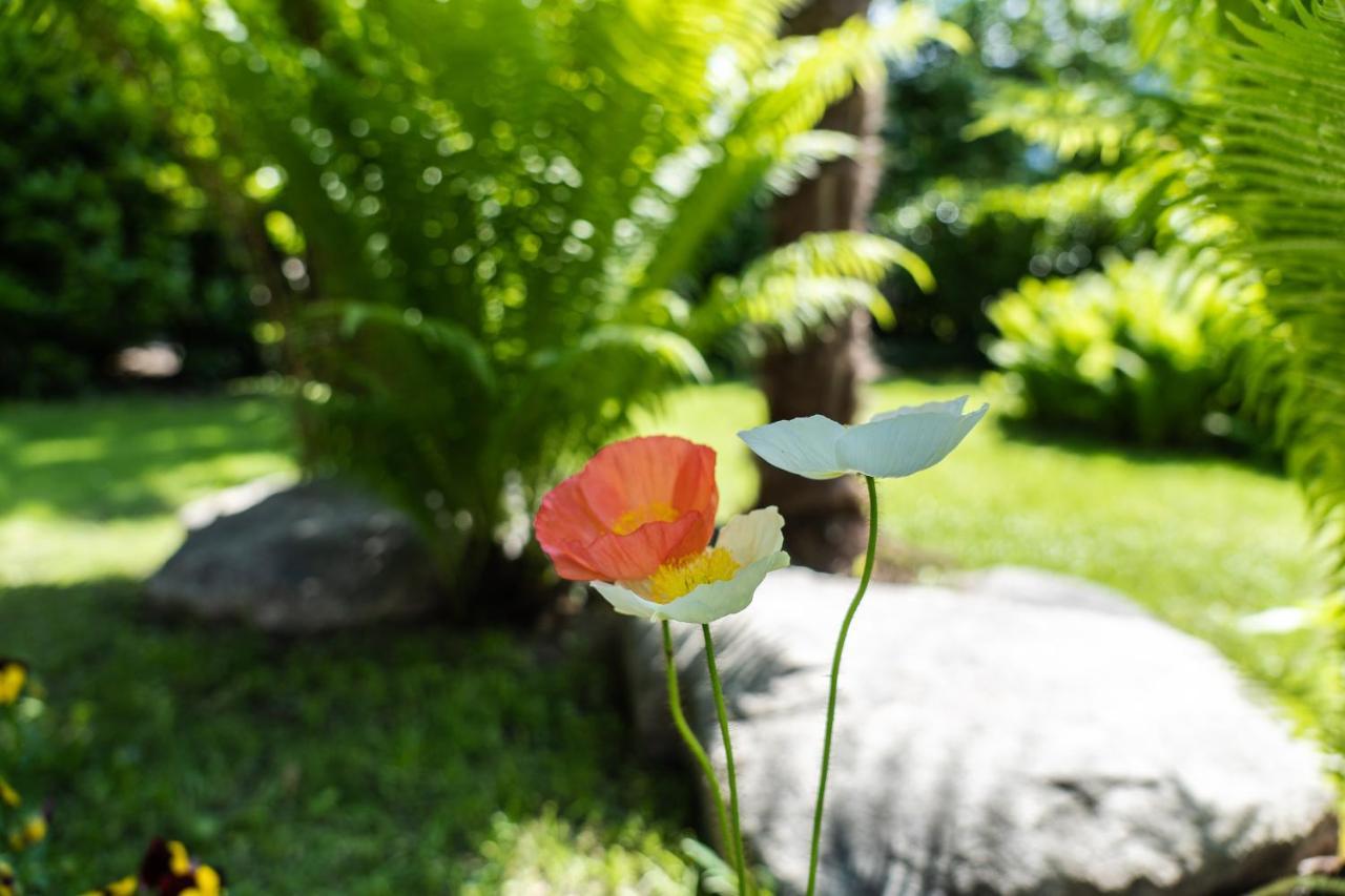 Flow Apartments Astoria เมราโน ภายนอก รูปภาพ